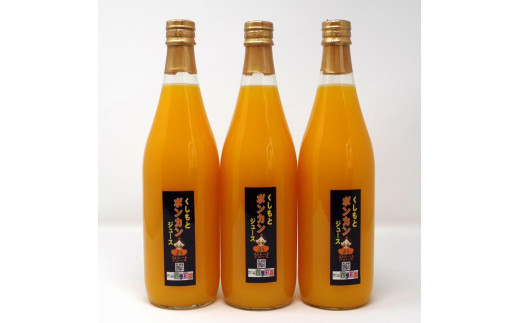 無添加!くしもとポンカンジュース B 720ml ×3本セット まるごと絞った果汁100%ジュース / ドリンク 柑橘 ぽんかん フルーツ みかん ミカン オレンジ 限定 和歌山【sse203】和歌山県串本町18000お