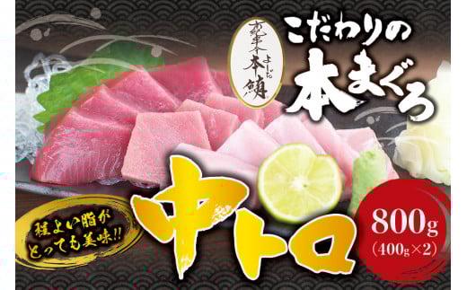 本マグロ 中とろ 800g(400g×2)サク 「プレミア和歌山認定」  和歌山県でも指折りの好漁場で養殖された本鮪です!  南紀串本よしだ本鮪【mhs102A】和歌山県串本町40000魚介・海産物鮮魚