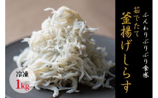 茹でたて釜揚げしらす 1kg箱入り【冷凍】 無添加・無着色 しらす シラス 釜揚げ 冷凍【mar112】和歌山県串本町15000魚介・海産物その他 魚介・海産物