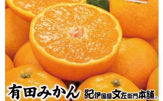 【予約受付】ブランド有田みかん 秀品5キロ/サイズお任せ ※2025年10月中旬〜2026年1月中旬頃に順次発送予定(お届け日指定不可) 紀伊国屋文左衛門本舗【kstb140C】和歌山県串本町16000果