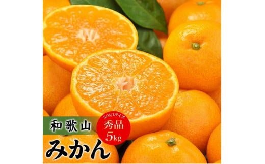 【予約受付】田村みかん 秀品5キロ/サイズおまかせ◆2025年11月下旬〜2026年1月中旬頃に順次発送(お届け日指定不可) 紀伊国屋文左衛門本舗【kstb301B】和歌山県串本町22000果物・フルーツみ