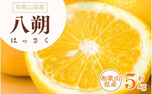 八朔(はっさく)約5kg サイズおまかせ 紀伊国屋文左衛門本舗 ※2026年1月下旬〜2026年4月上旬頃に発送予定【kstb410B】和歌山県串本町15000果物・フルーツみかん・柑橘類