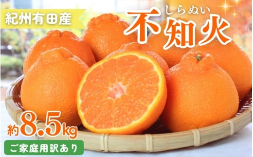 【ご家庭用訳あり】紀州有田産不知火(しらぬひ) 約8.5kg 【予約】※2026年2月中旬頃〜2026年3月中旬頃に順次発送予定(お届け日指定不可)【uot507A】和歌山県串本町22000果物・フルーツみかん・柑