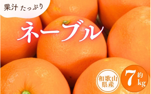 ネーブル 約7kg/サイズおまかせ ※2026年1月中旬〜2026年2月中旬頃に順次発送予定(お届け日指定不可) 紀伊国屋文左衛門本舗【kstb430B】和歌山県串本町21000果物・フルーツみかん・柑橘類