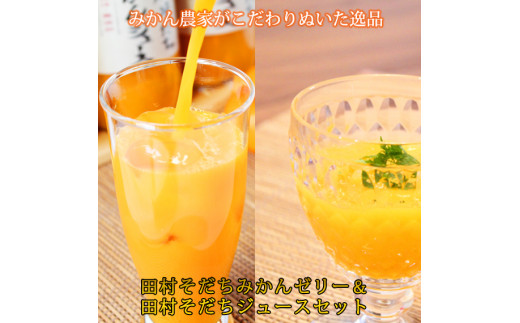 田村そだちみかんゼリー&ジュースセット【uot101】和歌山県串本町17000お茶・飲料果汁・野菜飲料
