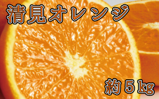 【予約】【ジューシー】清見オレンジ 5kg ※2026年3月下旬頃〜2026年4月中旬頃に順次発送予定(お届け日指定不可)【uot710-2】和歌山県串本町14000果物・フルーツみかん・柑橘類