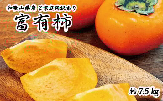 【ご家庭用わけあり】和歌山秋の味覚 富有柿 約7.5kg※2025年11月上旬頃〜2025年12月上旬頃に発送(お届け日指定不可)【uot719A】和歌山県串本町24000果物・フルーツその他 果物・フルーツ