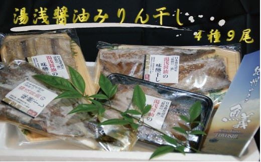 和歌山の近海でとれた新鮮魚の湯浅醤油みりん干し4品種9尾入りの詰め合わせ 【tec200A】和歌山県串本町12000魚介・海産物干物