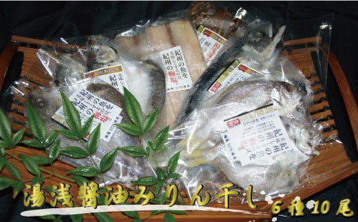 和歌山の近海でとれた新鮮魚の梅塩干物と湯浅醤油みりん干し6品種10尾入りの詰め合わせ【tec201】和歌山県串本町14000魚介・海産物干物