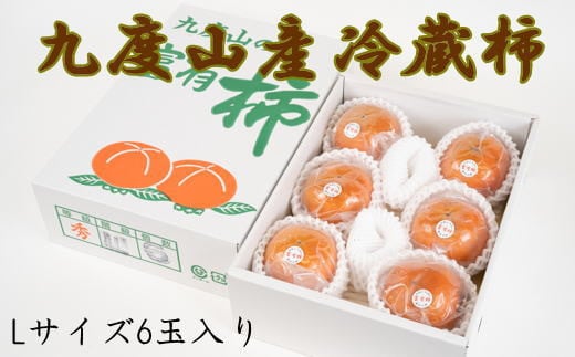 【まごころ栽培】九度山の冷蔵富有柿Lサイズ6玉入り<2026年1月下旬〜2026年2月中旬頃に順次発送>【tec411A】和歌山県串本町17000果物・フルーツその他 果物・フルーツ