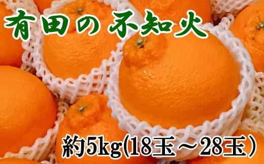 【濃厚】有田の不知火約5kg(18玉〜28玉おまかせ) ※2026年2月中旬〜2026年4月中旬頃に順次発送予定(日付指定不可) 【tec860A】和歌山県串本町16000果物・フルーツみかん・柑橘類
