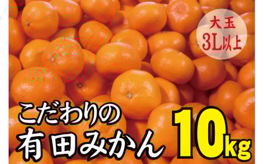 【農家直送】有田みかん 約10kg  大玉3L以上 有機質肥料100% 先行予約 ※2025年12月初旬〜2026年1月中旬に順次発送(お届け日指定不可)【nuk139E】和歌山県串本町15000果物・フルーツみかん・柑橘