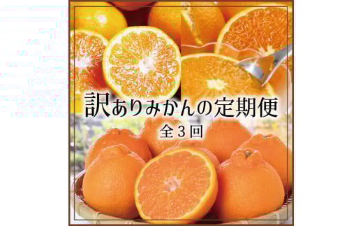【3か月定期便】たっぷり届く♪訳ありみかんの定期便 温州みかん・不知火・清見オレンジ【tkb113】和歌山県串本町55000果物・フルーツみかん・柑橘類