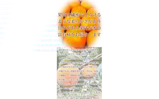 【ご家庭用わけあり】和歌山秋の味覚 富有柿3.5kg ※2025年11月上旬頃〜2025年12月上旬頃に発送(日付指定不可)【uot741】和歌山県串本町14000果物・フルーツその他 果物・フルーツ