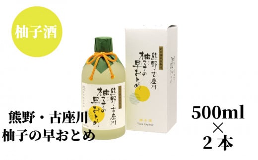 柚子の早乙女(500ml)×2本セット【nkm015B】和歌山県串本町14000酒・アルコールウイスキー・洋酒・リキュール