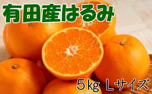 【厳選・濃厚】紀州有田産のはるみ約5kg(Lサイズ) ※2026年1月下旬〜2026年2月中旬頃順次発送(お届け日指定不可)【tec914B】和歌山県串本町21000果物・フルーツみかん・柑橘類