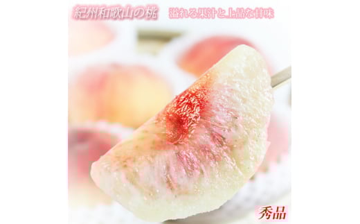 秀品 紀州和歌山産の桃 3玉 化粧箱入 ※2026年6月下旬頃〜2026年8月上旬頃順次発送(お届け日指定不可)【uot750】和歌山県串本町11000果物・フルーツもも・すもも