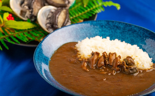 和歌山のアワビ屋さんがつくったあわびカレー 【170g×3袋】<日付指定OK>【riz305】和歌山県串本町13000魚介・海産物貝類
