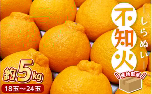 \ みかんの名産地 和歌山県産/ 農家直送 不知火 約5kg(18〜24玉) ひとつひとつ手選別で厳選【2026年2月中旬〜3月下旬ごろに順次発送予定】【hdm002A】和歌山県串本町15000果物・フルーツみかん