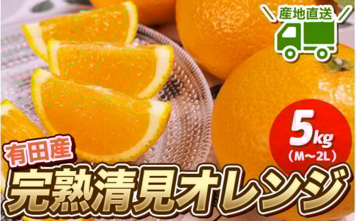 \ みかんの名産地 和歌山県産/ 農家直送 完熟清見オレンジ 5kg (M〜2Lサイズおまかせ) ひとつひとつ手選別で厳選【2026年3月中旬〜4月下旬ごろに順次発送予定】【hdm003A】和歌山県串本町120