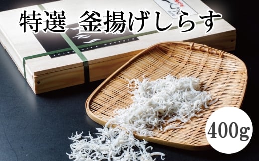 I@g炷400ymef002-1Aza̎R{11000ECY̑ ECY