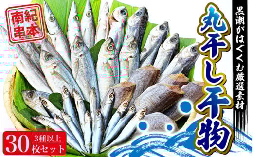 【丸干し 干物セット】たっぷり30点以上!定番干物3種30枚セット 干物 ひもの セット 和歌山 家庭用【ben003】和歌山県串本町15000魚介・海産物干物