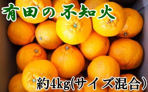 【濃厚】有田産不知火約4kg(2L〜5Lサイズ混合) ※2026年2月中旬〜2026年3月下旬頃発送予定(お届け日指定不可)【tec931A】和歌山県串本町14000果物・フルーツみかん・柑橘類