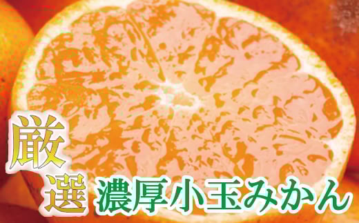 厳選 小玉な有田みかん7.5kg+225g(傷み補償分)【光センサー選果】<11月上旬より順次発送予定>【ikd023-2B】和歌山県串本町14000果物・フルーツみかん・柑橘類