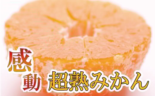 家庭用 超熟有田みかん2.5kg+75g(傷み補償分)【わけあり・訳あり】【光センサー選果】<11月上旬より順次発送予定>【ikd113B】和歌山県串本町7000果物・フルーツみかん・柑橘類