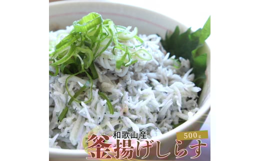 紀州和歌山湯浅産 釜揚げしらす 500g(100g×5) ※冷凍発送 シラス 釜揚げシラス 海産 海の幸 魚 さかな【uot786A】和歌山県串本町13000魚介・海産物その他 魚介・海産物