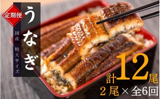 【全6回定期便】大型サイズ ふっくら柔らか 国産うなぎ蒲焼き 2尾×6回 計12尾 約2040g /  うなぎ ウナギ 鰻 国産 蒲焼 蒲焼き たれ 人気 定期便 ふるさと納税【tkb310】和歌山県串本町138000魚介・