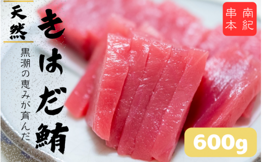 和歌山県産 天然 キハダマグロ 約600g / まぐろ 鮪 キハダマグロ 海鮮 魚貝 魚 【tcr002A】和歌山県串本町17000魚介・海産物鮮魚