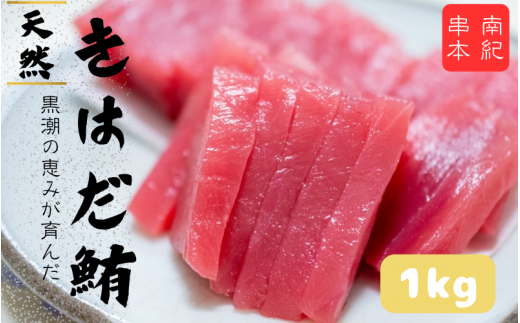 和歌山県産 天然 キハダマグロ 約1kg / まぐろ 鮪 キハダマグロ 海鮮 魚貝 魚 【tcr003A】和歌山県串本町24000魚介・海産物鮮魚