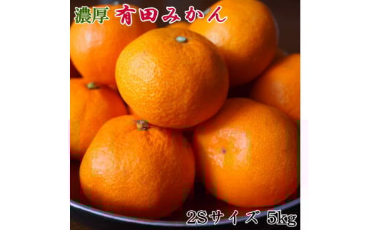 yGiz a̎R Lc݂ 5kgi2STCYjws kCEꌧEւ̔zs@2025N11{`2026N1{ɏ\ytec886Aza̎R{13000ʕEt