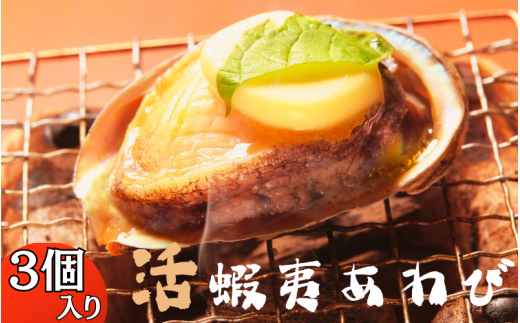 極上!紀州蝦夷鮑×3個 五つ星旅館にも出荷される極上アワビ<日付指定OK> 活アワビ / あわび 貝 海鮮 活アワビ 魚貝 魚介【riz103】和歌山県串本町10000魚介・海産物貝類