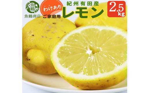 【ご家庭用訳あり】紀州有田産レモン 2.5kg【予約】※2026年3月上旬頃〜2026年3月中旬頃に順次発送予定(お届け日指定不可) レモン れもん 果物 柑橘【uot777】和歌山県串本町12000果物・フルー