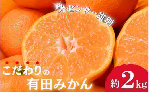 【2025年11月発送予約分】\光センサー選別/農家直送 こだわりの有田みかん 約2kg【ご家庭用】【11月発送】みかん ミカン 有田みかん 温州みかん 柑橘 有田 和歌山 ※北海道・沖縄・離島配