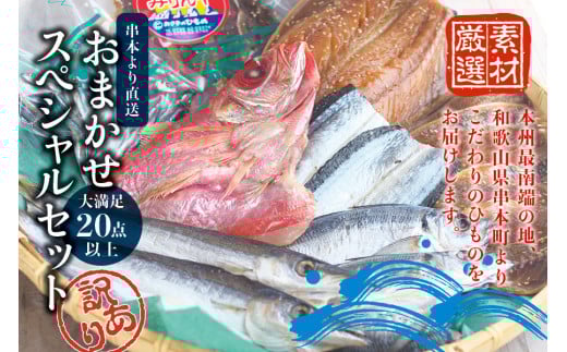 【訳あり干物セット】たっぷり20点以上!おざきのひもの「おまかせスペシャルセット」【冷凍】/ ひもの 干物 干物セット 個包装 イカ 一夜干し 訳あり わけあり【ozk103-1】和歌山県串本町10
