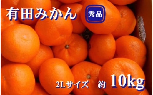 紀州有田みかん 秀品 約10kg 2Lサイズ ※2025年11月下旬〜2026年1月中旬頃より順次発送予定【sml129B】和歌山県串本町19000果物・フルーツみかん・柑橘類