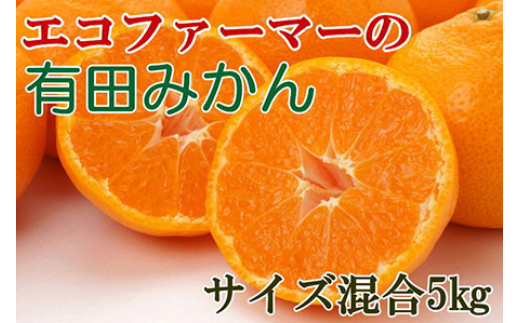 エコファーマーのこだわり有田みかん約5kg(サイズ混合)★2025年11月中旬〜2026年1月中旬頃順次発送 【tec961A】和歌山県串本町13000果物・フルーツみかん・柑橘類