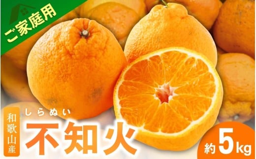 <2月より発送>【先行予約】家庭用不知火5kg+250g(傷み補償分)【デコポンと同品種・人気の春みかん】【わけあり・訳あり】 フルーツ 果物 くだもの 柑橘 和歌山【ikd163C】和歌山県串本町