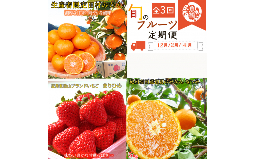 【全3回】紀州和歌山産旬のフルーツ定期便 (田村みかん・いちご・なつみ) 【tkb374】和歌山県串本町45000果物・フルーツみかん・柑橘類