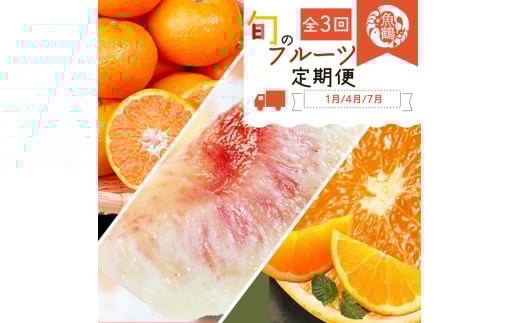 【全3回】紀州和歌山産旬のフルーツ定期便 (みかん・清見オレンジ・桃)【tkb381】和歌山県串本町46000果物・フルーツみかん・柑橘類