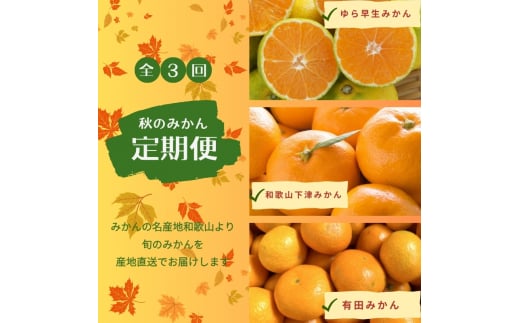 【3か月定期便】みかんの名産地和歌山発!秋のみかん定期便♪ゆら早生みかん・下津みかん・有田みかん【tkb362】和歌山県串本町41000果物・フルーツみかん・柑橘類