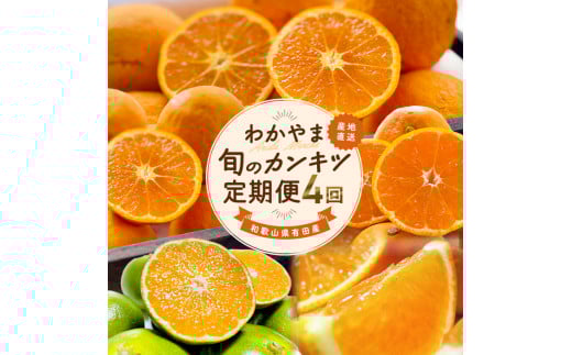【全4回】和歌山旬のカンキツ定期便【M】3・5・9・11月発送(ご家庭用)※北海道・沖縄県・離島への配送不可 / 春の柑橘 初夏の柑橘 青切り 有田みかん 完熟有田みかん フルーツ くだもの