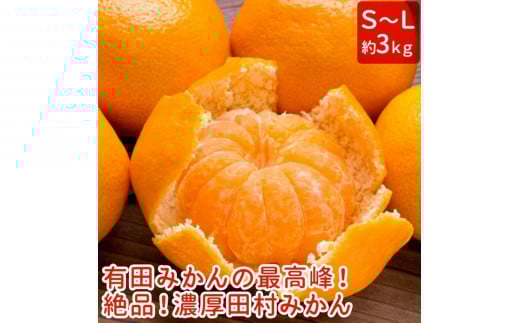 ya̎RYizyv~Auhzi!Zc݂ Gi 3kg 2024N11{`12{ɏ\ kCEEւ̔zsyard214za̎R{13000ʕE