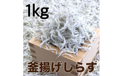 g炷1kg(500g×2pbN) / VX I  ①ցydig012za̎R{17000ECY̑ ECY