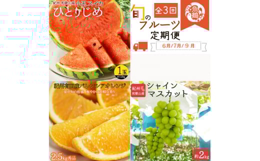 【全3回】紀州和歌山産旬のフルーツセット(スイカ・バレンシア・シャイン)/ 果物定期便 フルーツ定期便 バレンシア オレンジ 柑橘 くだもの 果物 すいか スイカ シャインマスカット 【tkb395