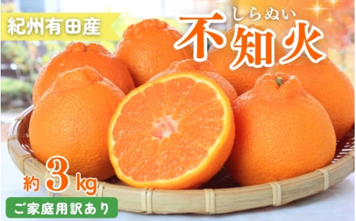 【ご家庭用訳あり】紀州有田産不知火(しらぬひ) 約3kg 【予約】※2026年2月中旬頃〜2026年3月中旬頃に順次発送予定(お届け日指定不可)【uot830A】和歌山県串本町10000果物・フルーツみかん・柑
