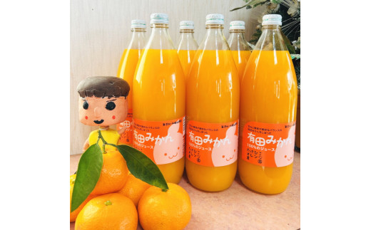 【数量限定】【大人気】有田みかん100%のジュース1,000ml×6本セット ※着日指定不可【tkh005】和歌山県串本町18000お茶・飲料果汁・野菜飲料